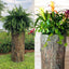 Large Hollow Log Planter. Outdoor Garden, Yard & Porch Pot. Tall Tree Stump Well Pump Cover. Weatherproof, Rustic, Natural Looking Deck & Patio Decor. Better Than a Fake Rock.