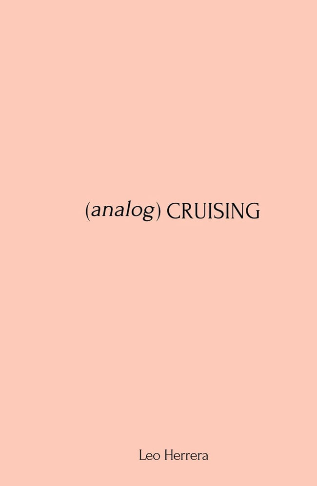 (analog) Cruising: a manual      Hardcover – October 27, 2025 Hover Image