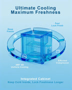 1.1 Cu.ft Mini Freezer - Compact Upright Freezer with 7 Adjustable Thermostat, Removable Shelf, Reversible Single Door, 360°Uniform Cooling Small freezer for Home Office Kitchen Dorm, Silver
