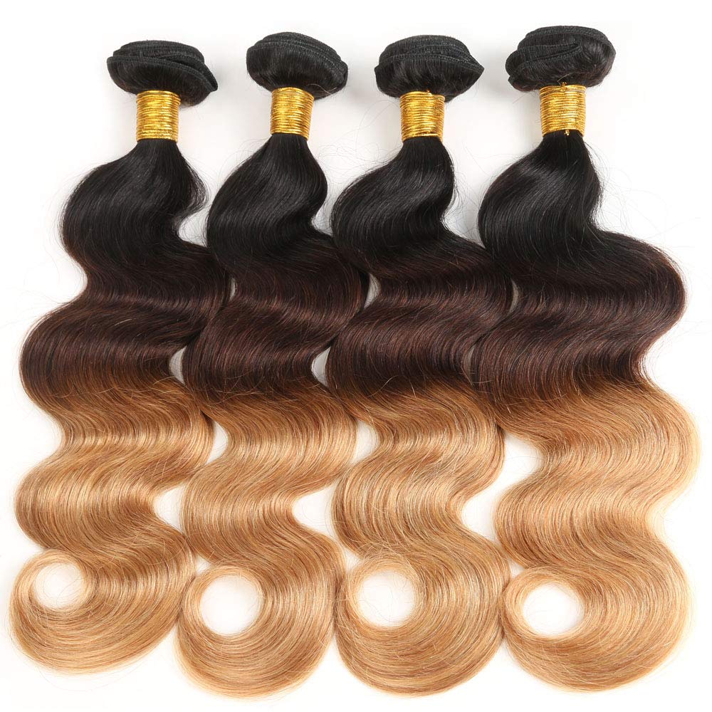 Ombre Human Hair Bundles with Closure 100% Unprocessed Virgin Brazilian Human Hair Body Wave 4 Bundles with 4x4 Lace Closure Free Part (10 10 10 10+10#T1B/4/27)