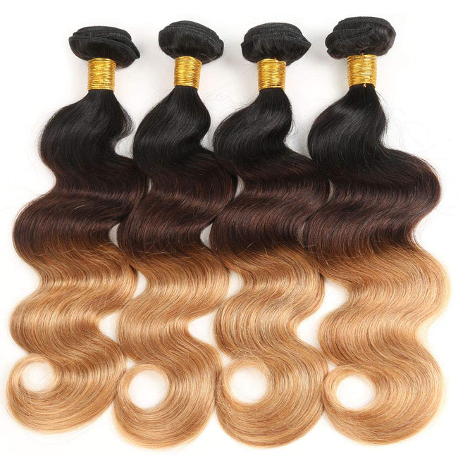 Ombre Human Hair Bundles with Closure 100% Unprocessed Virgin Brazilian Human Hair Body Wave 4 Bundles with 4x4 Lace Closure Free Part (10 10 10 10+10#T1B/4/27) Main Image