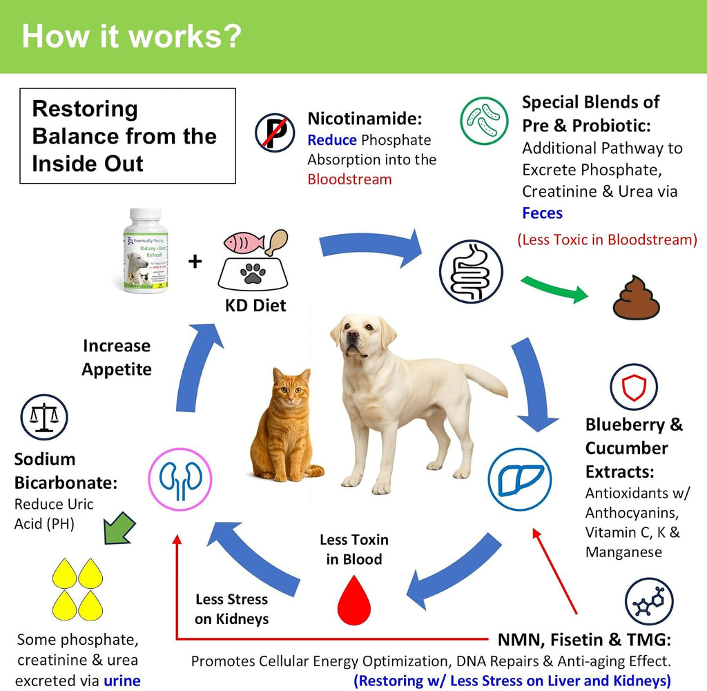 12-in-1 CKD Kidney Support Restore 4 Cats & Dogs: Super Phosphate Binder w/NMN, Fisetin, Antioxidants, Pre & Probiotic 4 Healthy Kidney & Liver Functions (60 Caps)