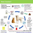 12-in-1 CKD Kidney Support Restore 4 Cats & Dogs: Super Phosphate Binder w/NMN, Fisetin, Antioxidants, Pre & Probiotic 4 Healthy Kidney & Liver Functions (60 Caps)