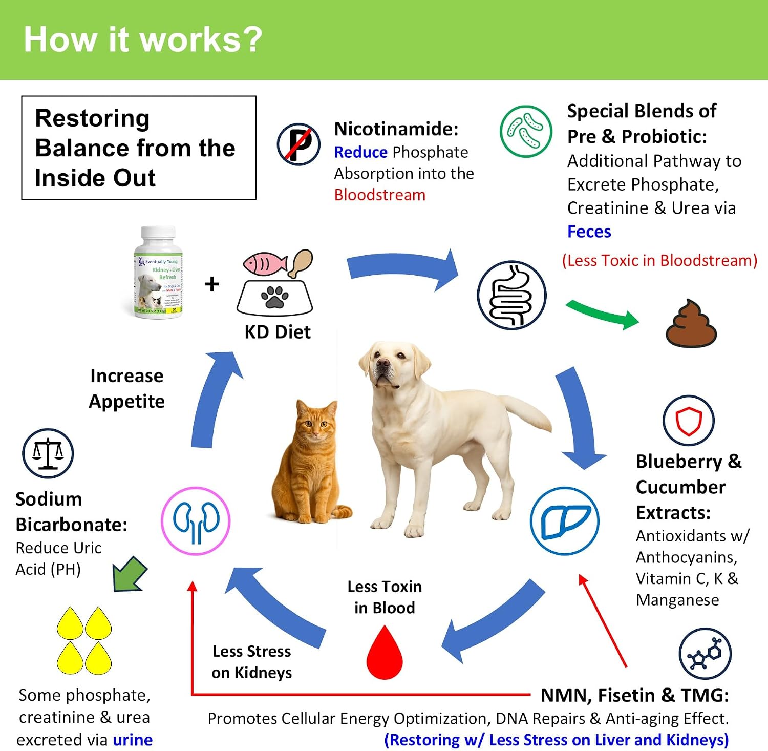 12-in-1 CKD Kidney Support Restore 4 Cats & Dogs: Super Phosphate Binder w/NMN, Fisetin, Antioxidants, Pre & Probiotic 4 Healthy Kidney & Liver Functions (60 Caps)