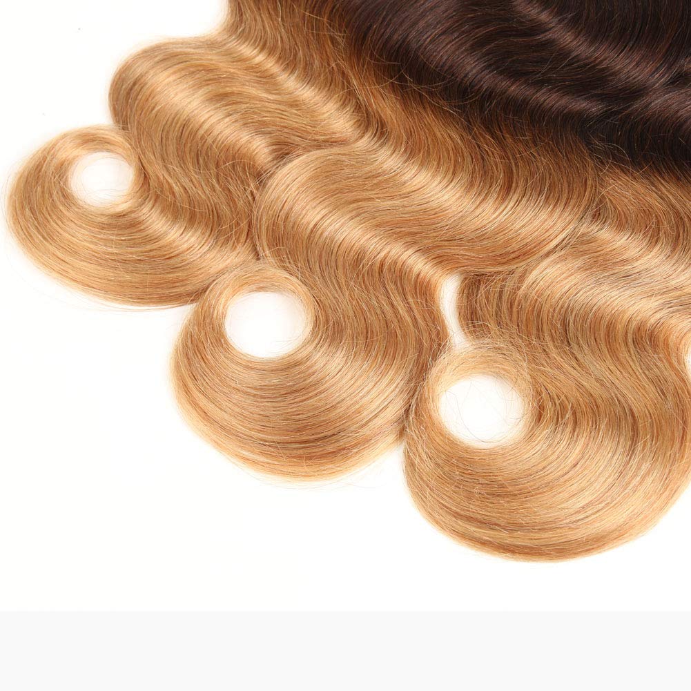 Ombre Human Hair Bundles with Closure 100% Unprocessed Virgin Brazilian Human Hair Body Wave 4 Bundles with 4x4 Lace Closure Free Part (10 10 10 10+10#T1B/4/27)