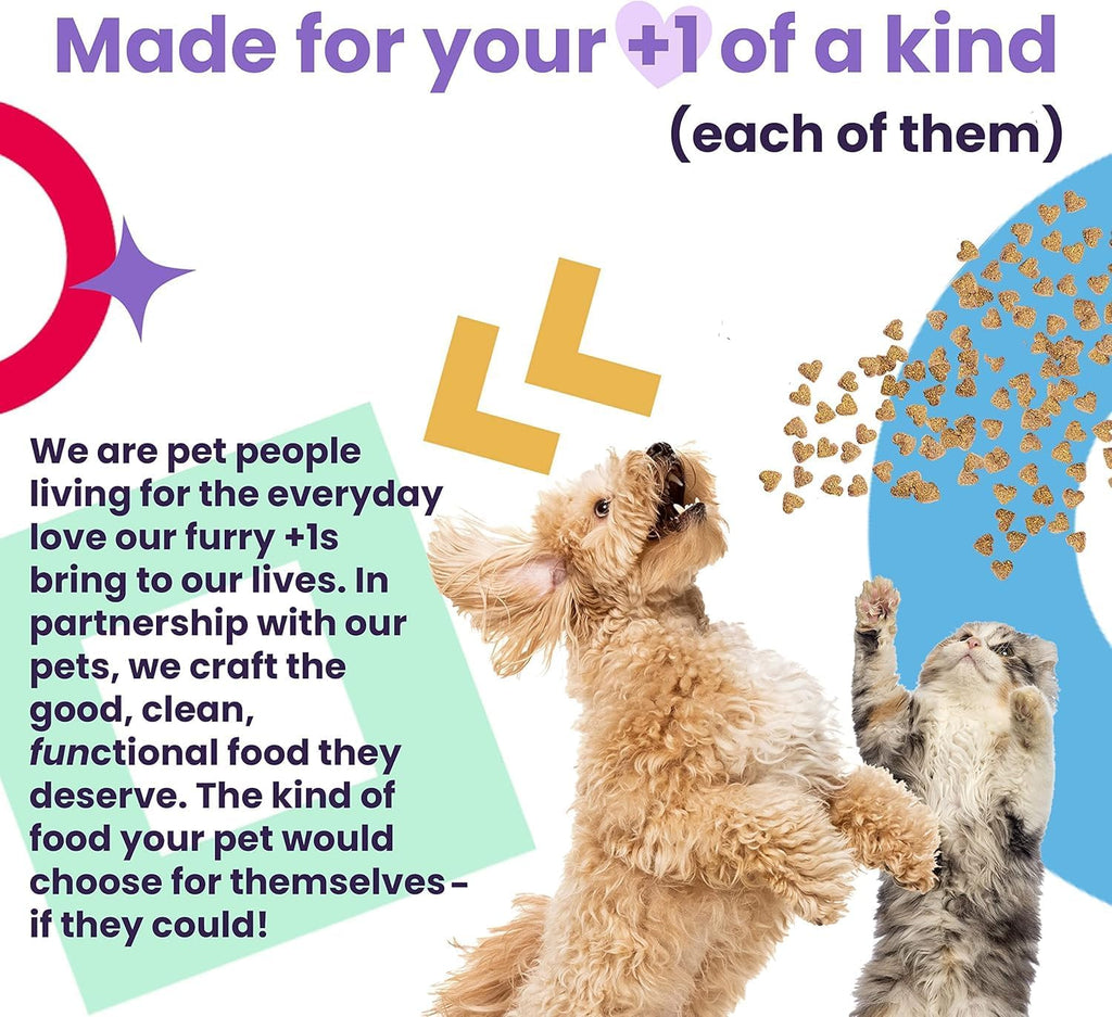 "I And Love And You" No Stink! Bully Stick + Naked Essentials Lamb & Bison