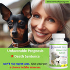 12-in-1 CKD Kidney Support Restore 4 Cats & Dogs: Super Phosphate Binder w/NMN, Fisetin, Antioxidants, Pre & Probiotic 4 Healthy Kidney & Liver Functions (60 Caps)