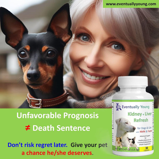 12-in-1 CKD Kidney Support Restore 4 Cats & Dogs: Super Phosphate Binder w/NMN, Fisetin, Antioxidants, Pre & Probiotic 4 Healthy Kidney & Liver Functions (60 Caps) Main Image