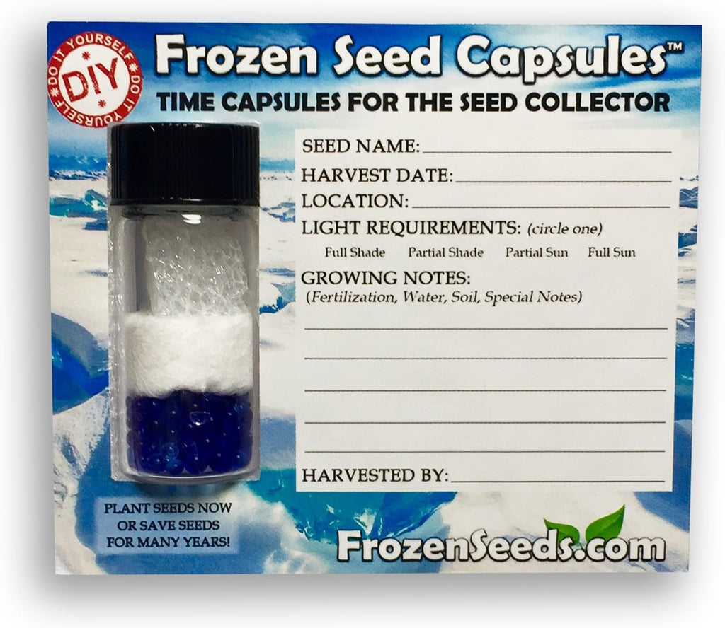 'Do-It-Yourself' DIY Medium Seed Storage Capsules '12 Pack' - Ideal for Small Seeds - The Very Best in Proper Long-Term Seed Storage