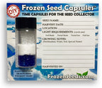 'Do-It-Yourself' DIY Medium Seed Storage Capsules '12 Pack' - Ideal for Small Seeds - The Very Best in Proper Long-Term Seed Storage