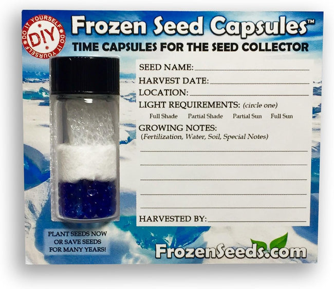 'Do-It-Yourself' DIY Medium Seed Storage Capsules '12 Pack' - Ideal for Small Seeds - The Very Best in Proper Long-Term Seed Storage Main Image