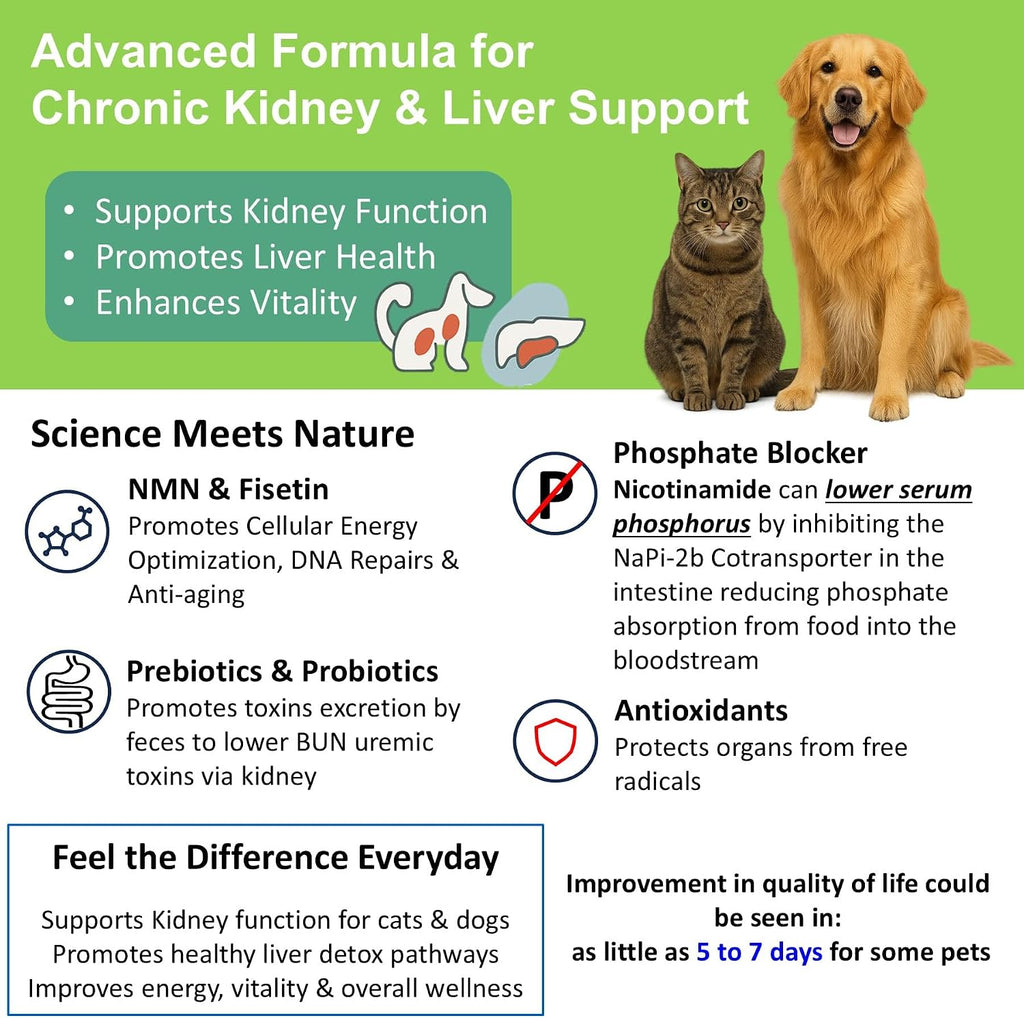 12-in-1 CKD Kidney Support Restore 4 Cats & Dogs: Super Phosphate Binder w/NMN, Fisetin, Antioxidants, Pre & Probiotic 4 Healthy Kidney & Liver Functions (60 Caps)