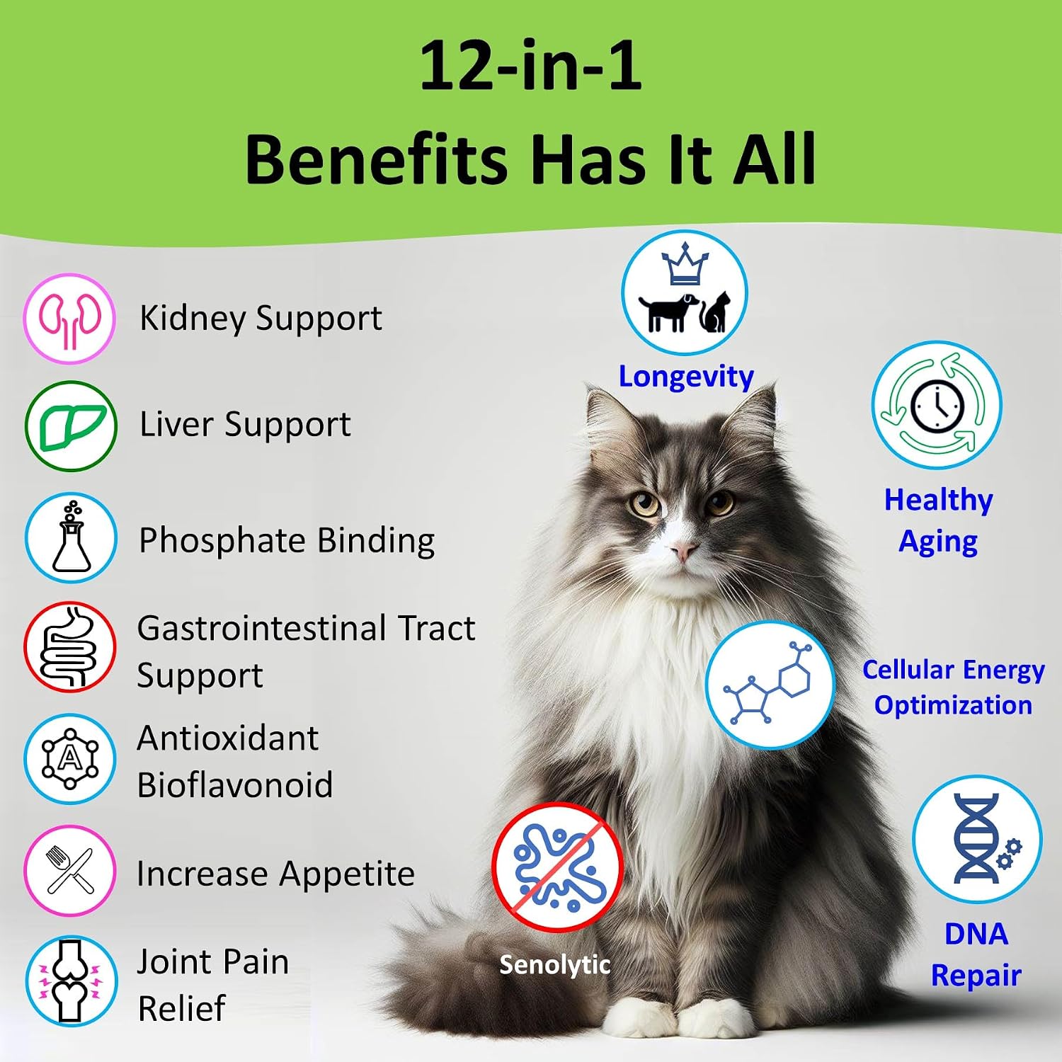 12-in-1 CKD Kidney Support Restore 4 Cats & Dogs: Super Phosphate Binder w/NMN, Fisetin, Antioxidants, Pre & Probiotic 4 Healthy Kidney & Liver Functions (60 Caps)