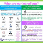12-in-1 CKD Kidney Support Restore 4 Cats & Dogs: Super Phosphate Binder w/NMN, Fisetin, Antioxidants, Pre & Probiotic 4 Healthy Kidney & Liver Functions (60 Caps)