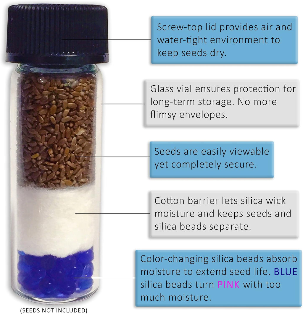 'Do-It-Yourself' DIY Medium Seed Storage Capsules '12 Pack' - Ideal for Small Seeds - The Very Best in Proper Long-Term Seed Storage
