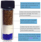 'Do-It-Yourself' DIY Medium Seed Storage Capsules '12 Pack' - Ideal for Small Seeds - The Very Best in Proper Long-Term Seed Storage