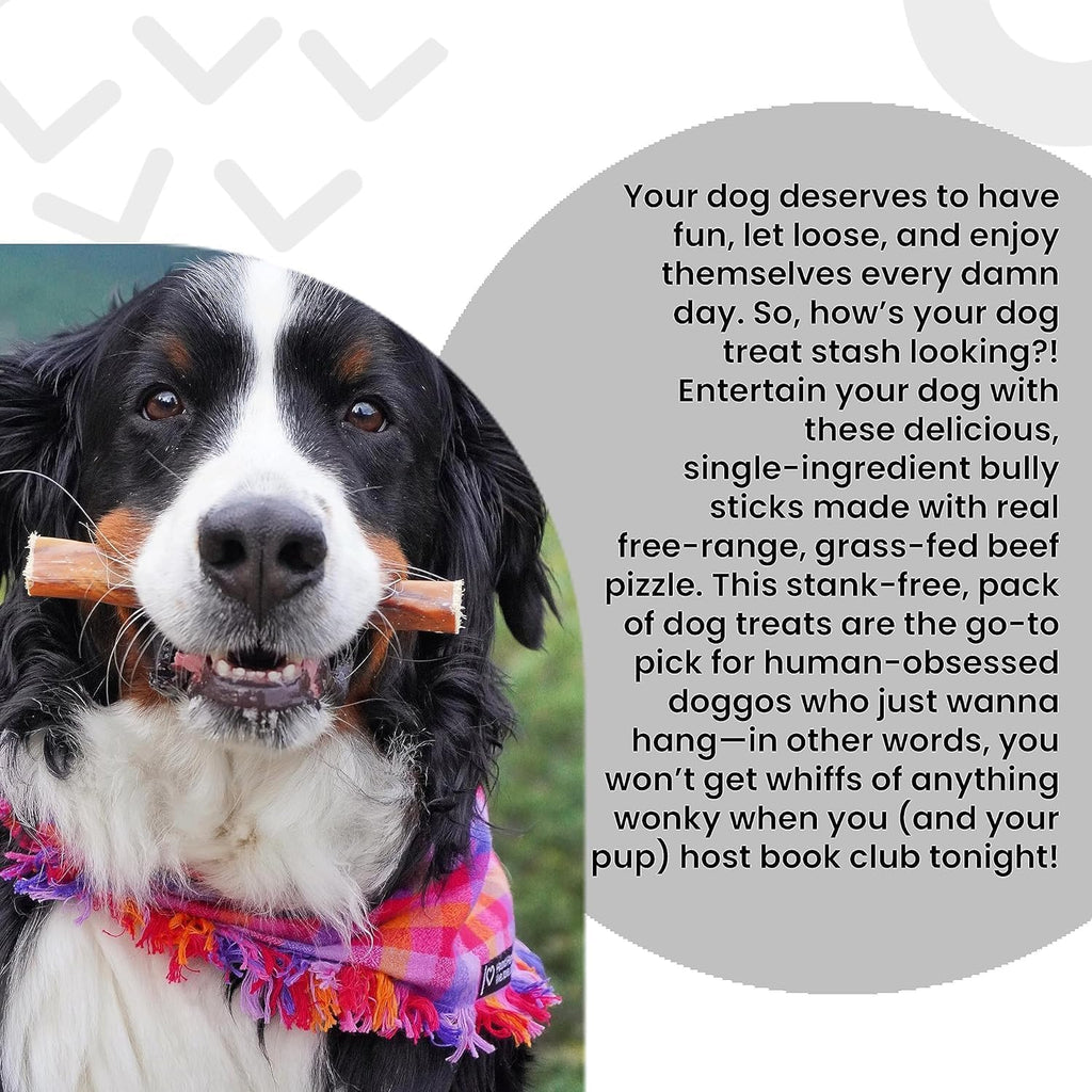 "I And Love And You" No Stink! Bully Stick + Naked Essentials Lamb & Bison