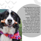 "I And Love And You" No Stink! Bully Stick + Naked Essentials Lamb & Bison