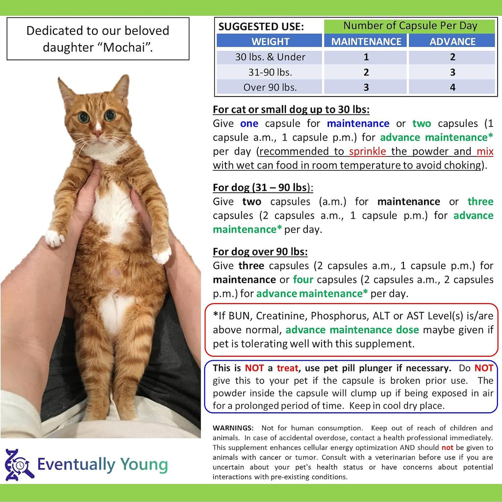 12-in-1 CKD Kidney Support Restore 4 Cats & Dogs: Super Phosphate Binder w/NMN, Fisetin, Antioxidants, Pre & Probiotic 4 Healthy Kidney & Liver Functions (60 Caps)