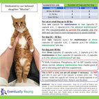 12-in-1 CKD Kidney Support Restore 4 Cats & Dogs: Super Phosphate Binder w/NMN, Fisetin, Antioxidants, Pre & Probiotic 4 Healthy Kidney & Liver Functions (60 Caps)