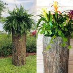 Large Hollow Log Planter. Outdoor Garden, Yard & Porch Pot. Tall Tree Stump Well Pump Cover. Weatherproof, Rustic, Natural Looking Deck & Patio Decor. Better Than a Fake Rock.