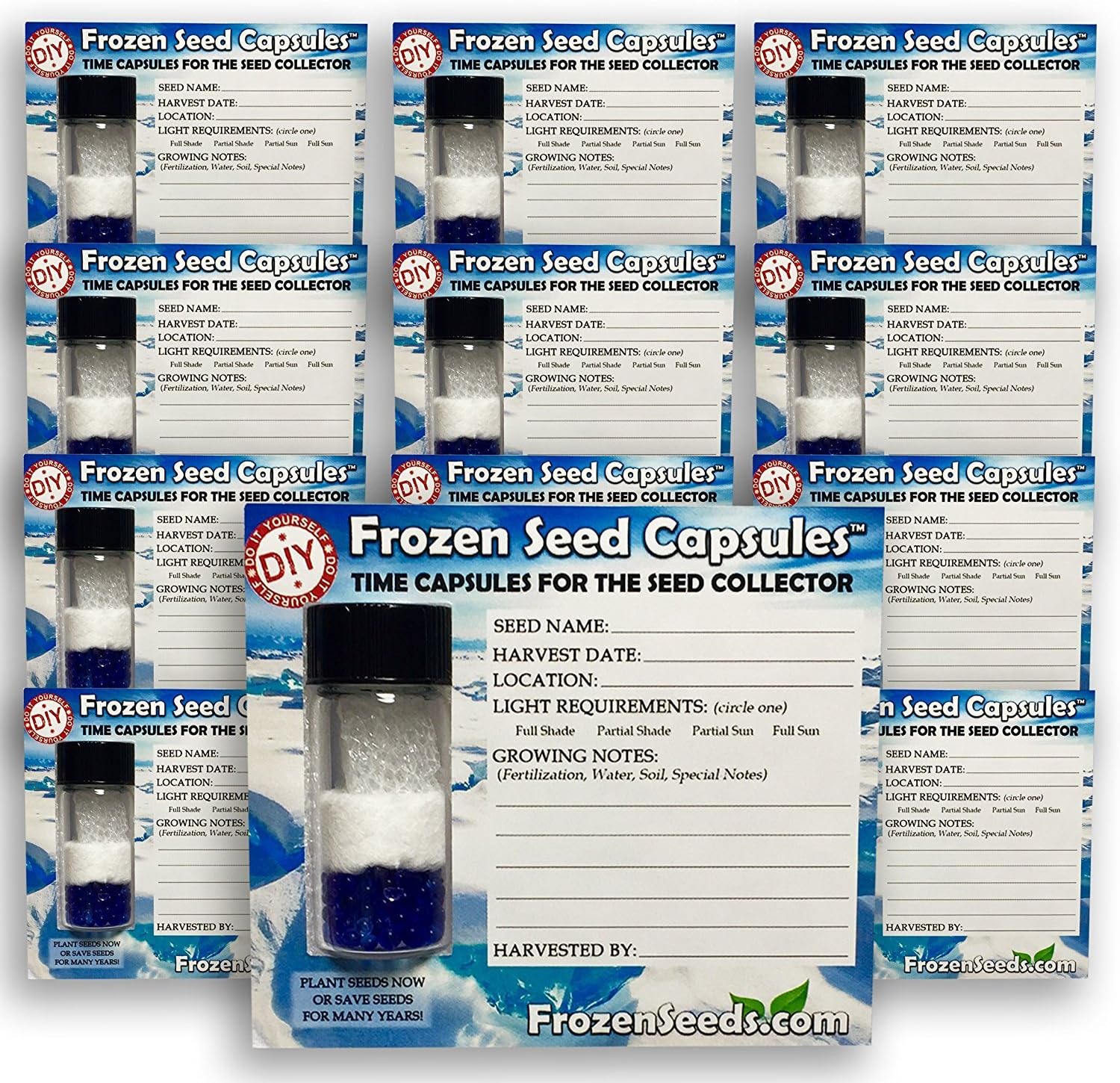 'Do-It-Yourself' DIY Medium Seed Storage Capsules '12 Pack' - Ideal for Small Seeds - The Very Best in Proper Long-Term Seed Storage