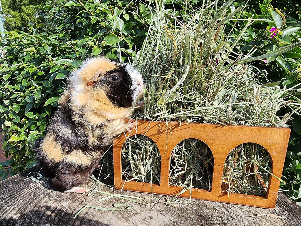 "Closed Bottom Hay Feeder Natural Pine Wood Arch Guinea Pig Hay Rack with Option to Attach to Cage (Warm Cherry with Bottom)